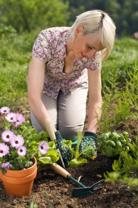 Guidelines for Gardening