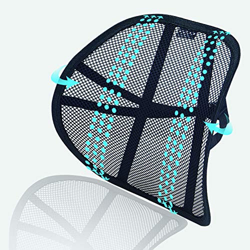 Big Ant Lumbar Support, Car Back Support Mesh Doub…