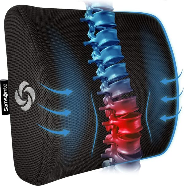 SAMSONITE Lumbar Support Pillow For Office Chair and Car Seat
